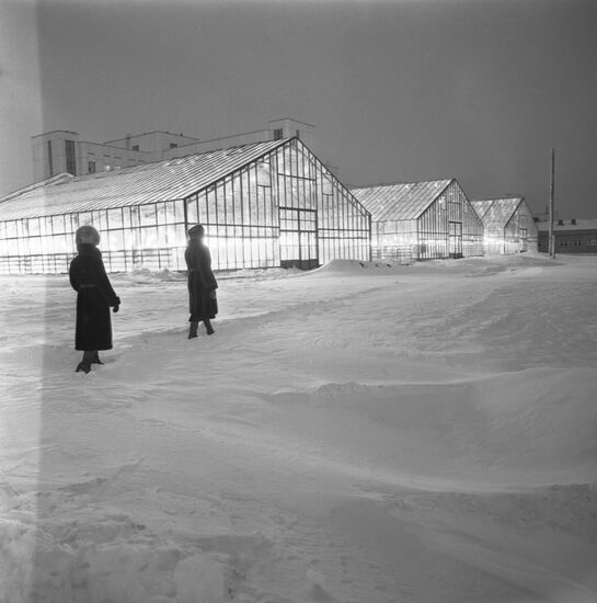 Agricultural complexes in Siberia