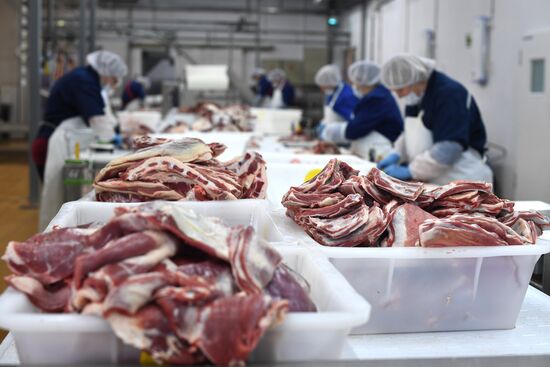 AgriVolga agricultural holding in Yaroslavl Region