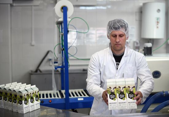 AgriVolga agricultural holding in Yaroslavl Region