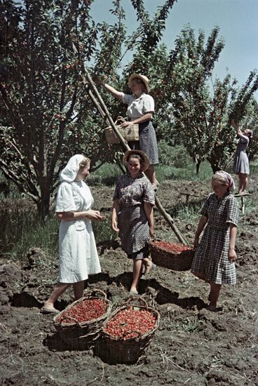 Harvesting