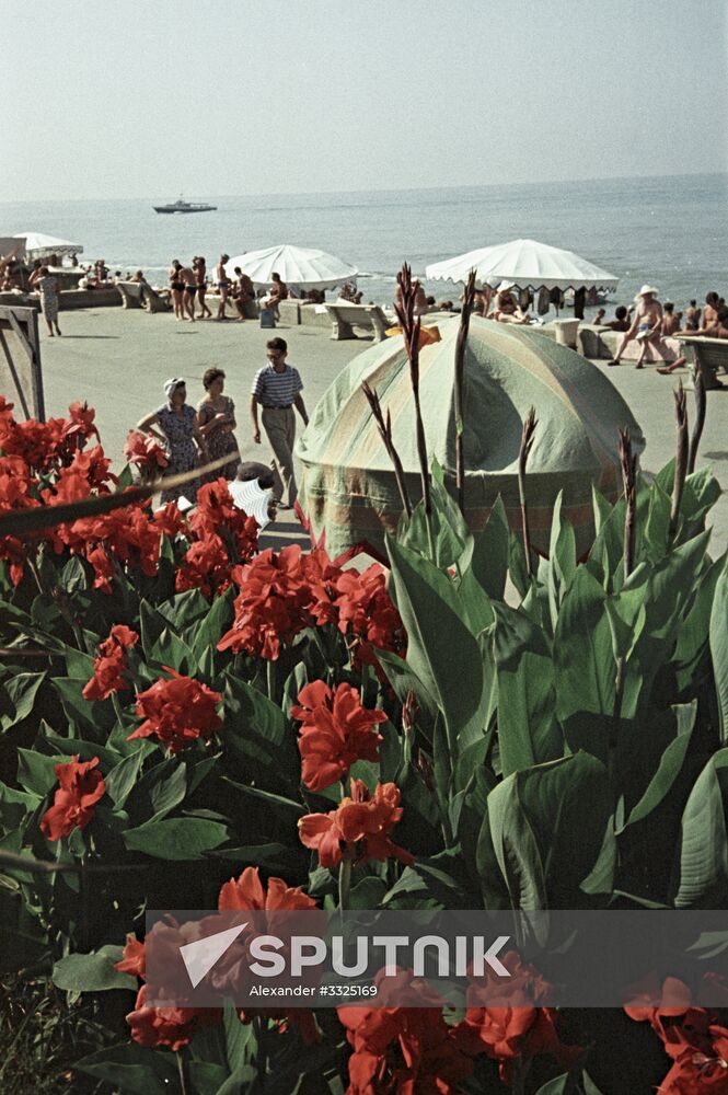 City of Sochi