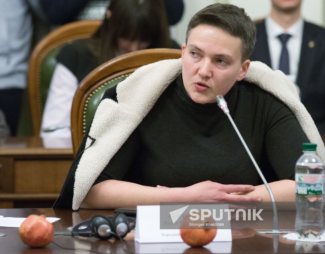 Meeting of Ukraine's Verkhovna Rada Committee on House Rules