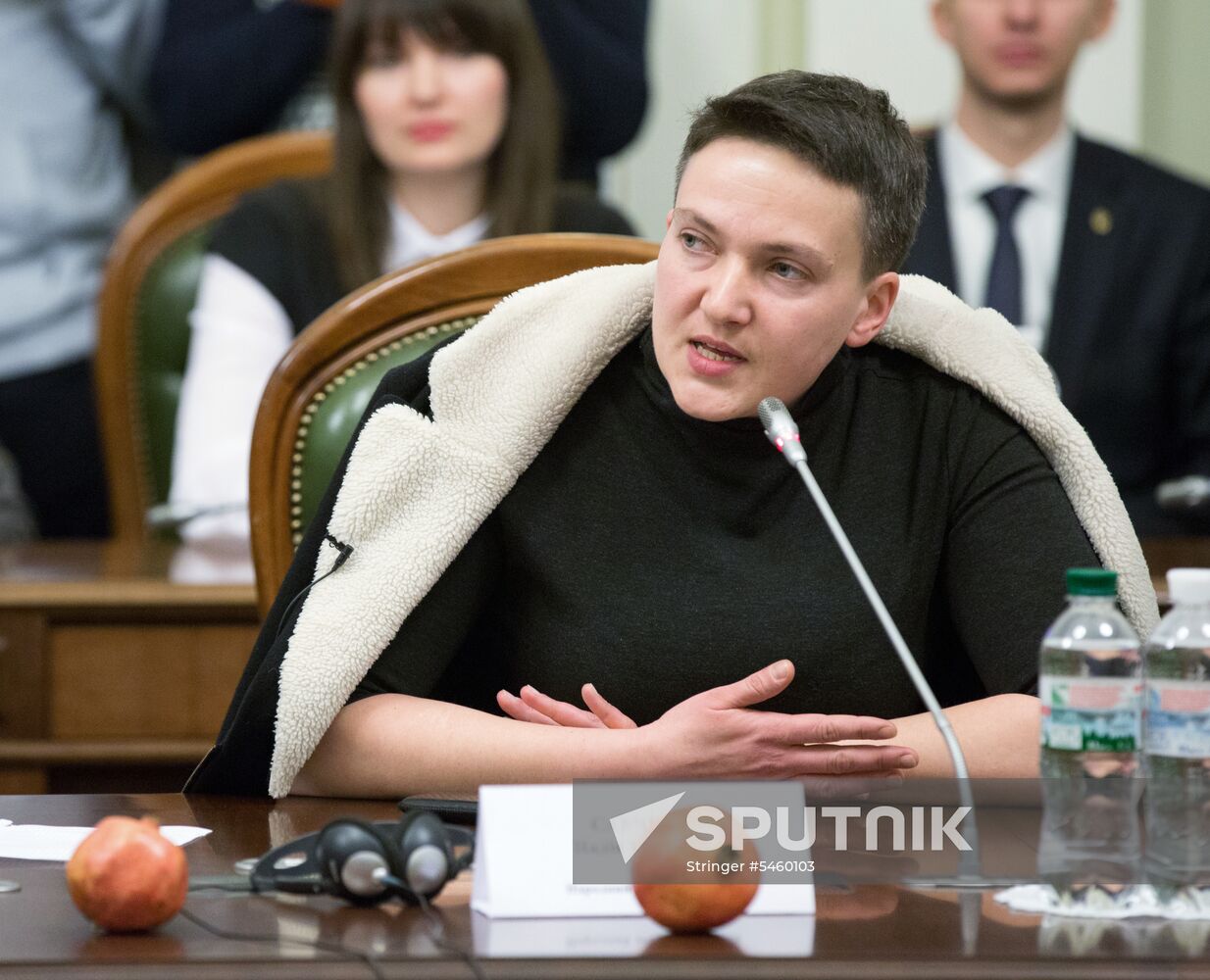 Meeting of Ukraine's Verkhovna Rada Committee on House Rules