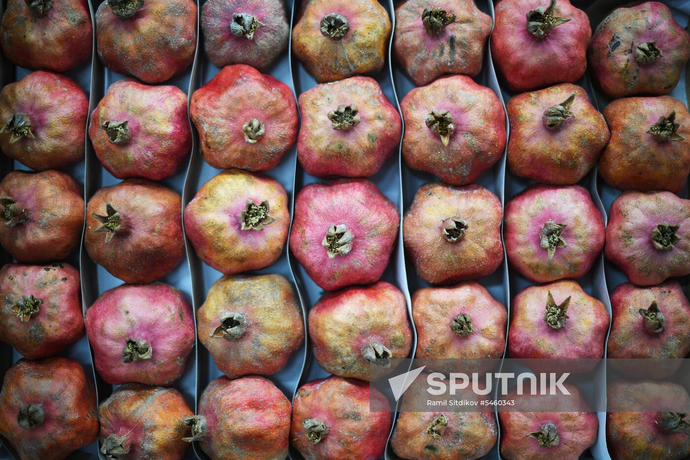 Velozavodsky market reopens in Moscow after renovation