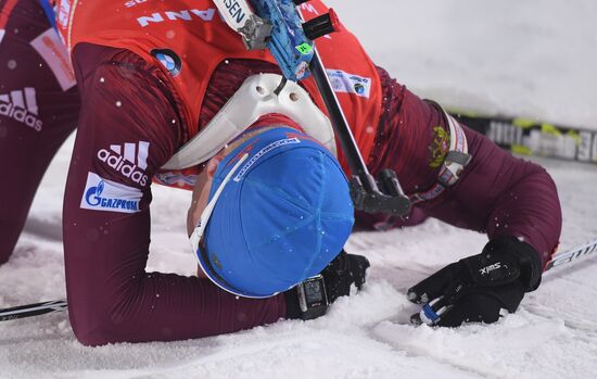 Biathlon World Cup 9. Men. Sprint