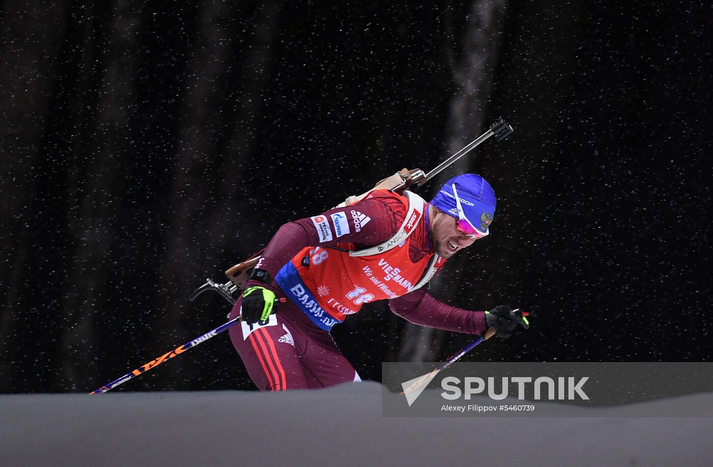 Biathlon World Cup 9. Men. Sprint