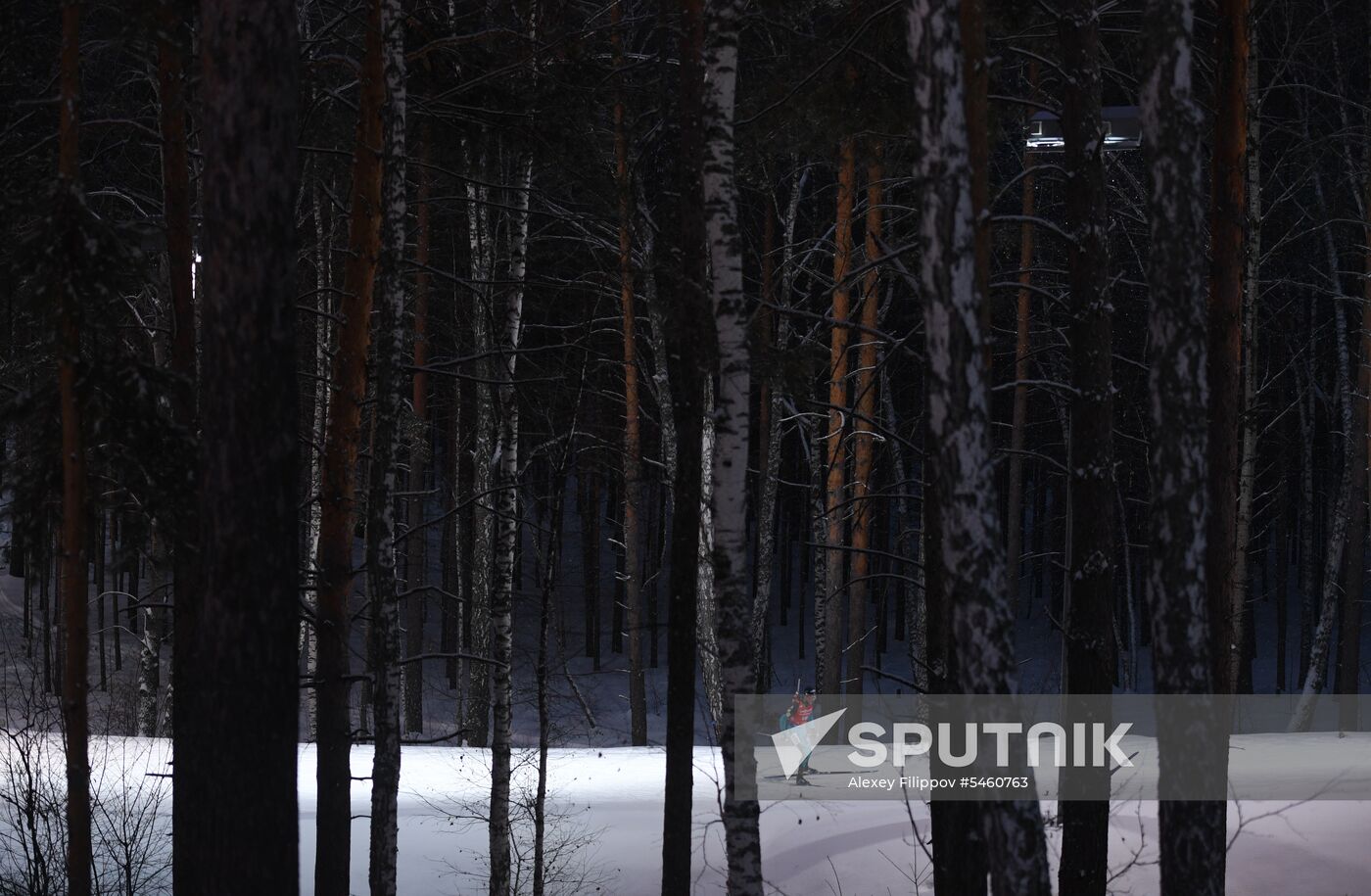 Biathlon World Cup 9. Men. Sprint