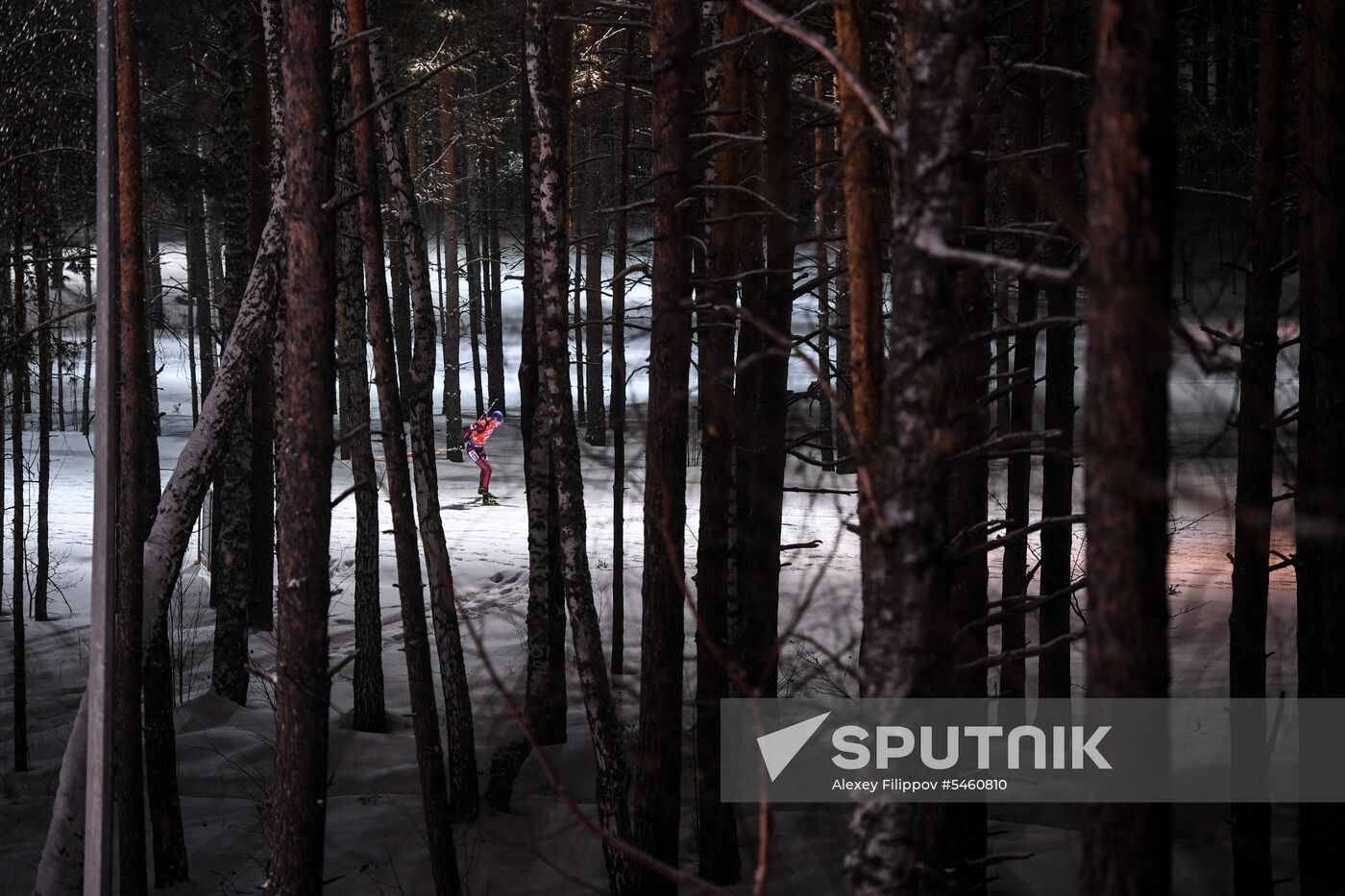 Biathlon World Cup 9. Men. Sprint