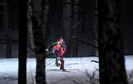 Biathlon World Cup 9. Men. Sprint