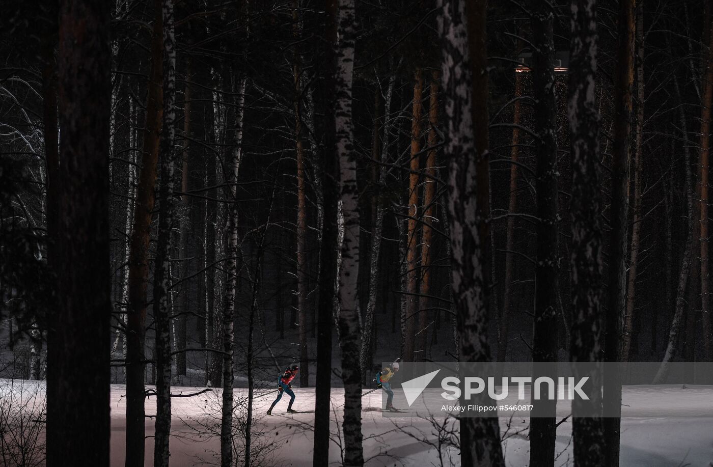 Biathlon World Cup 9. Men. Sprint