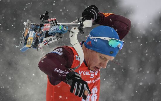 Biathlon World Cup 9. Men. Sprint