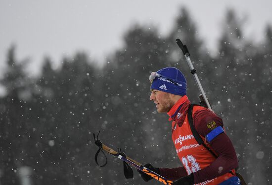 Biathlon World Cup 9. Men. Sprint