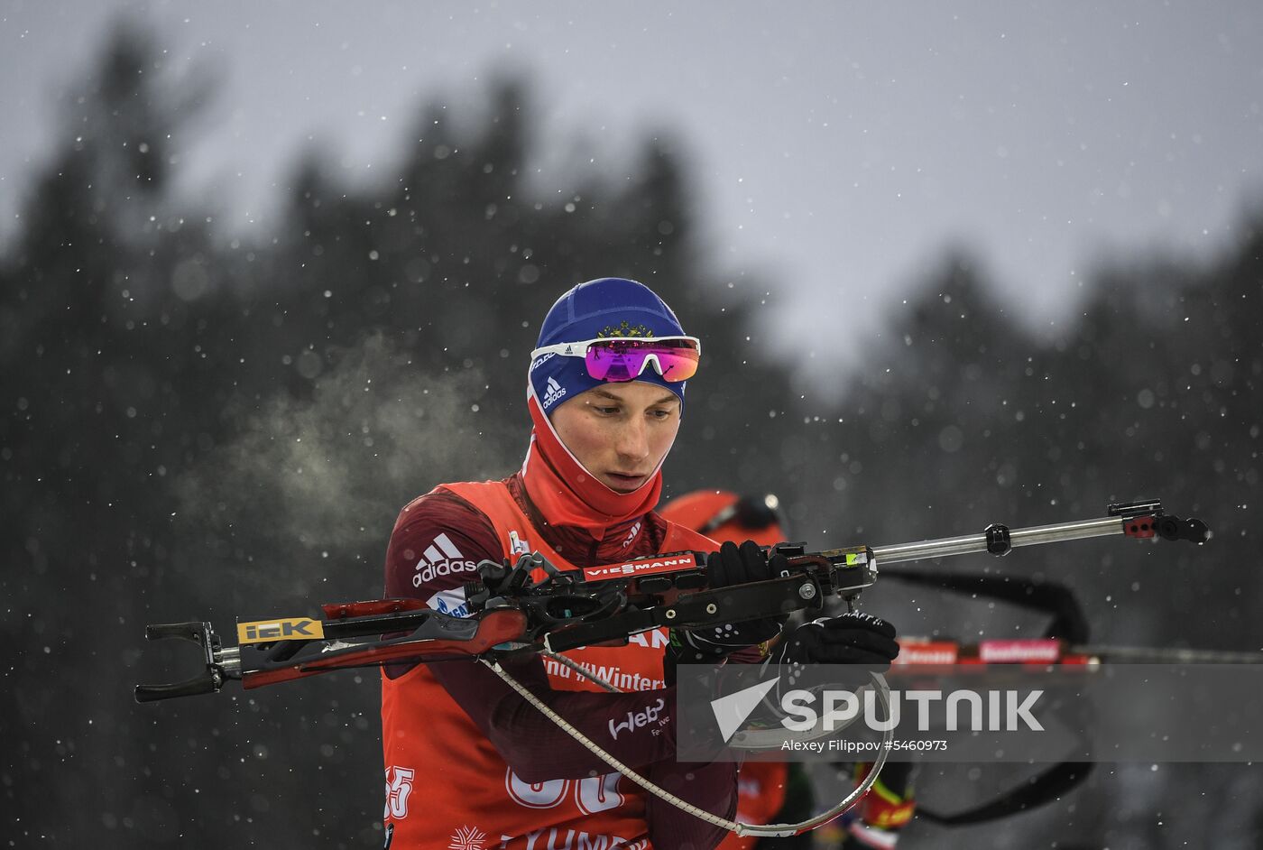 Biathlon World Cup 9. Men. Sprint