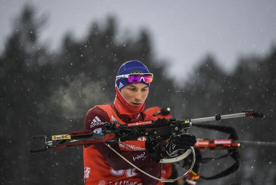 Biathlon World Cup 9. Men. Sprint