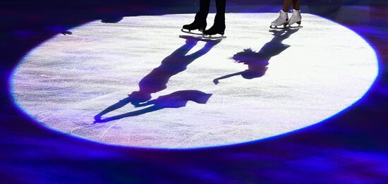 Figure skating. World Championships. Pairs. Free skating