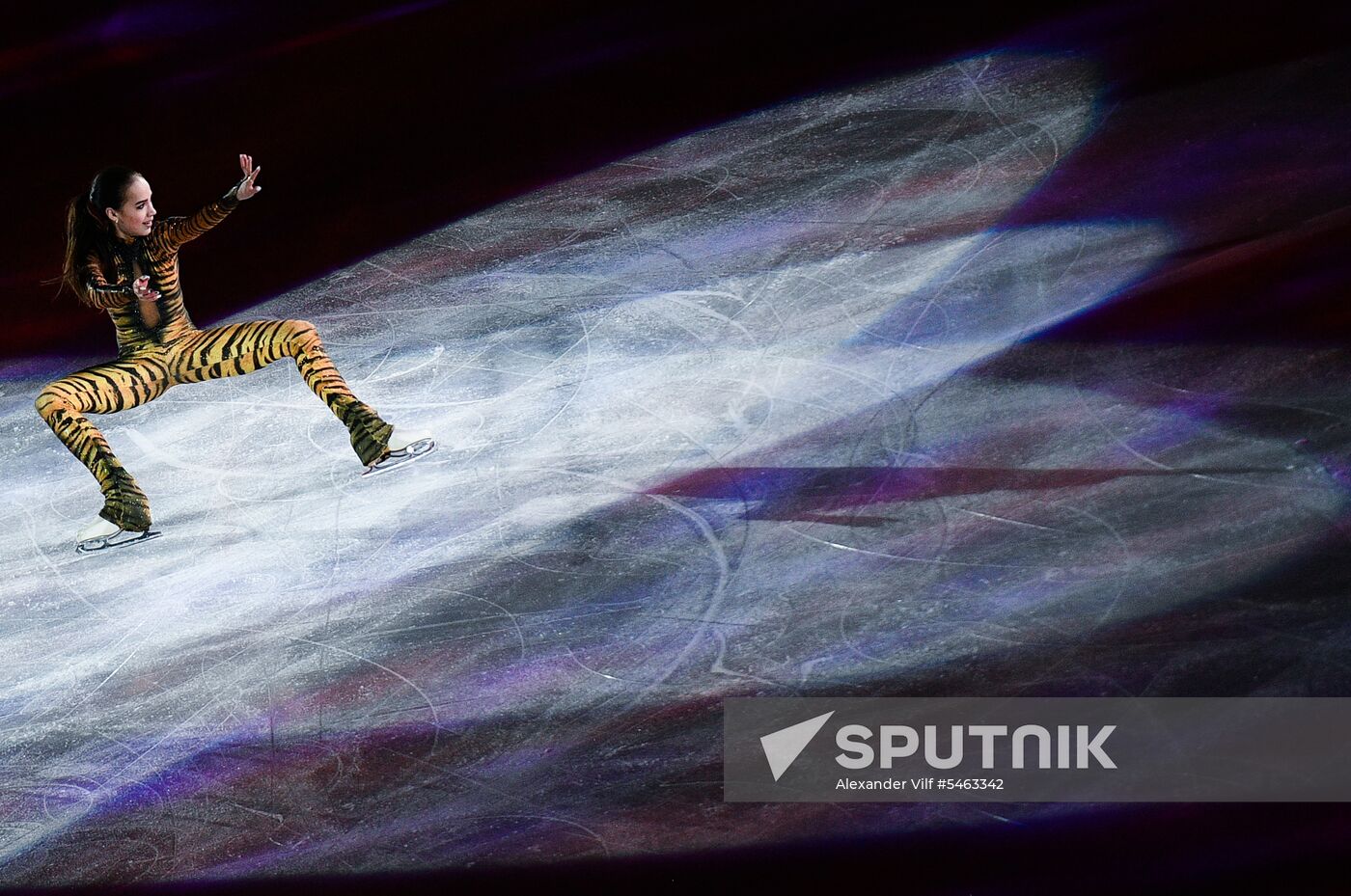 Figure skating. World Figure Skating Championships. Exhibition gala