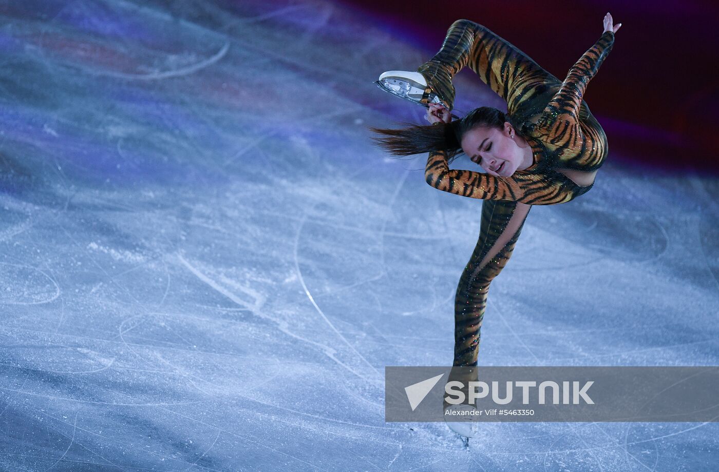 Figure skating. World Figure Skating Championships. Exhibition gala