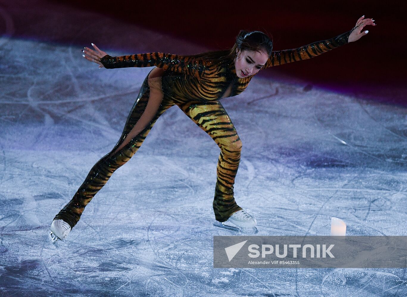 Figure skating. World Figure Skating Championships. Exhibition gala