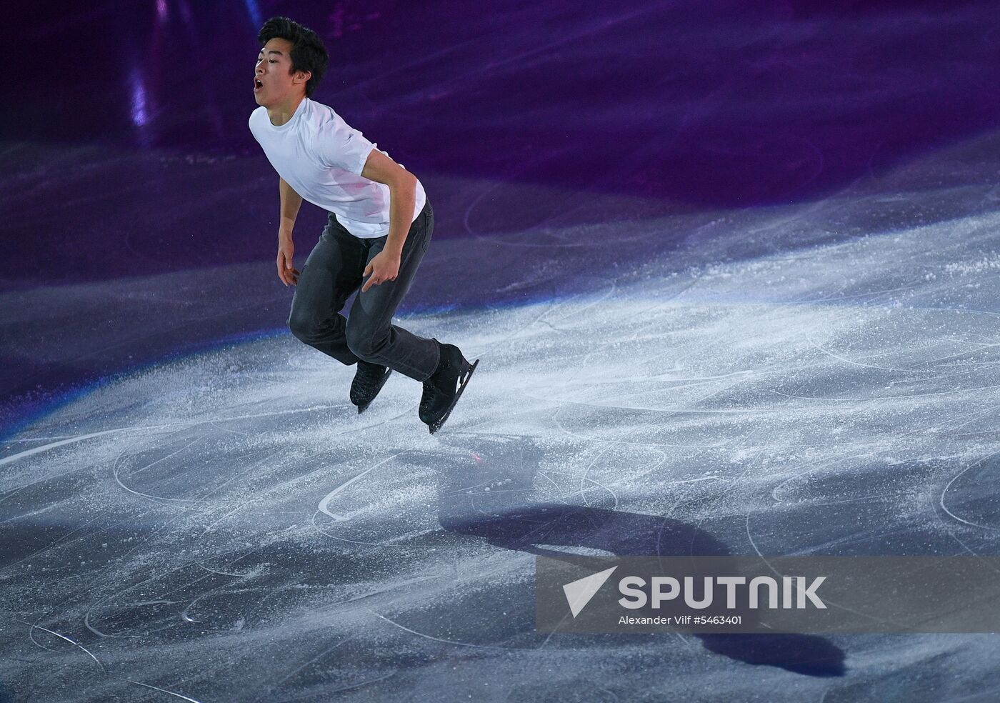 Figure skating. World Figure Skating Championships. Exhibition gala