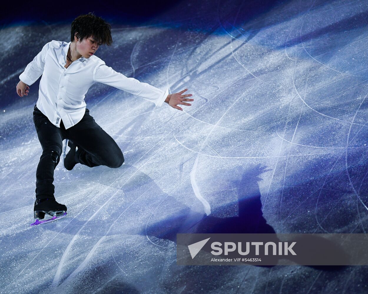 Figure skating. World Figure Skating Championships. Exhibition gala