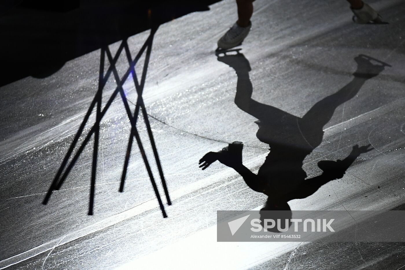 Figure skating. World Figure Skating Championships. Exhibition gala