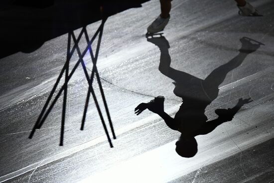 Figure skating. World Figure Skating Championships. Exhibition gala