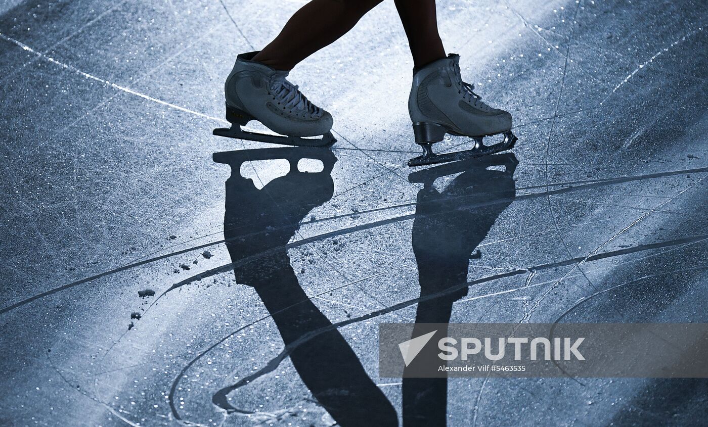 Figure skating. World Figure Skating Championships. Exhibition gala