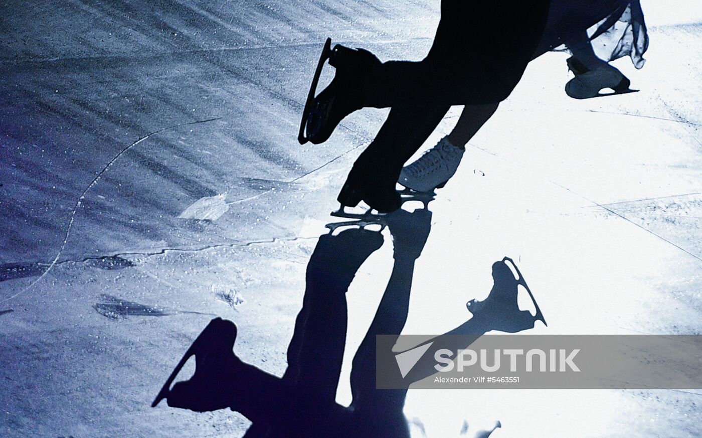 Figure skating. World Figure Skating Championships. Exhibition gala