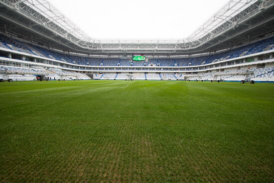 Kaliningrad Stadium