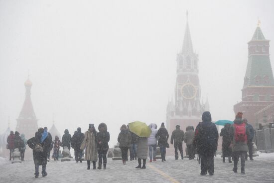 Snowfall in Moscow