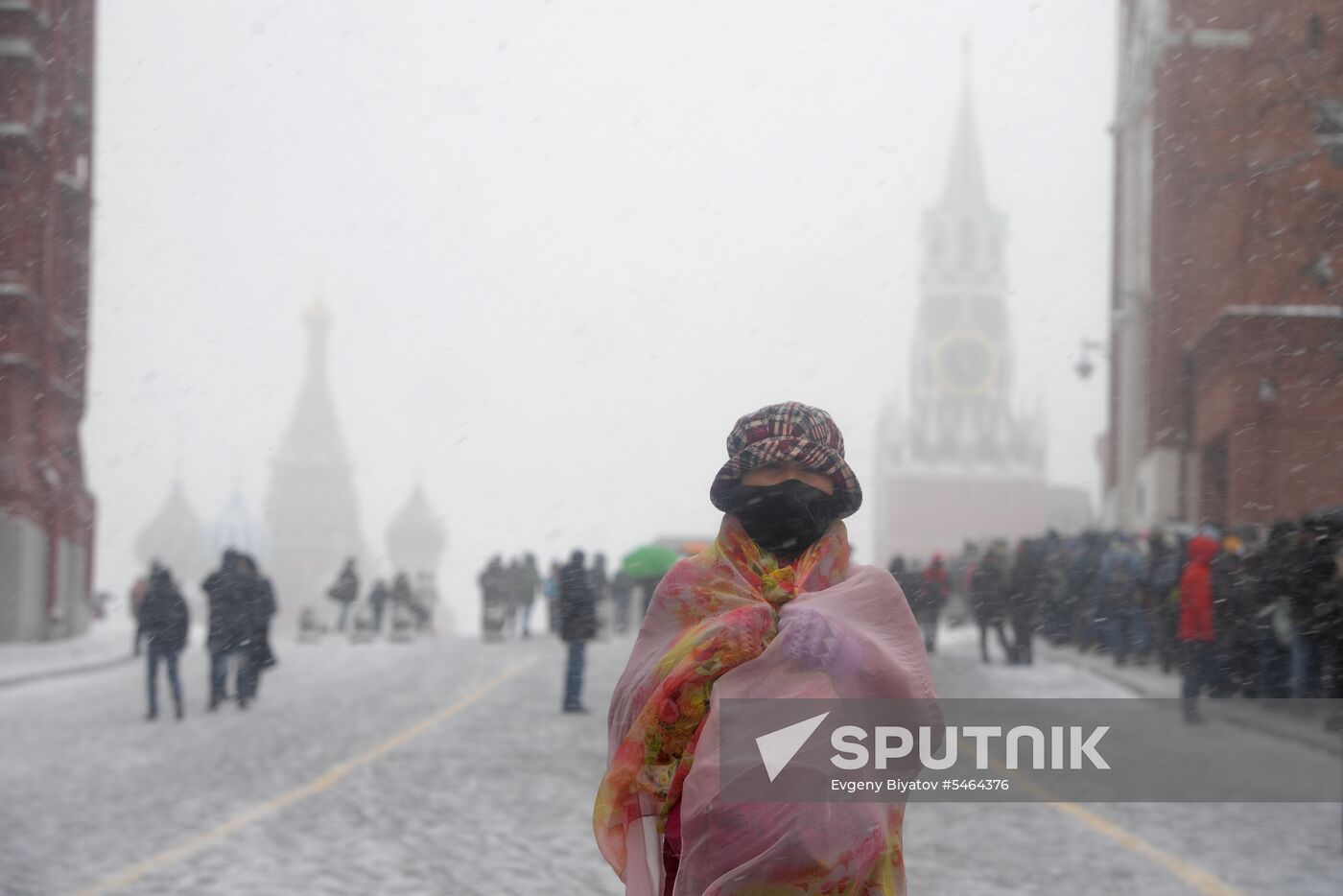 Snowfall in Moscow