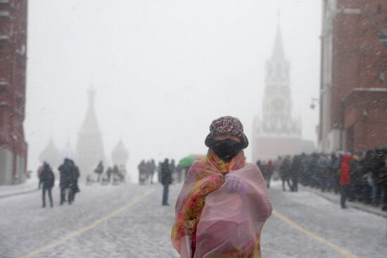 Snowfall in Moscow