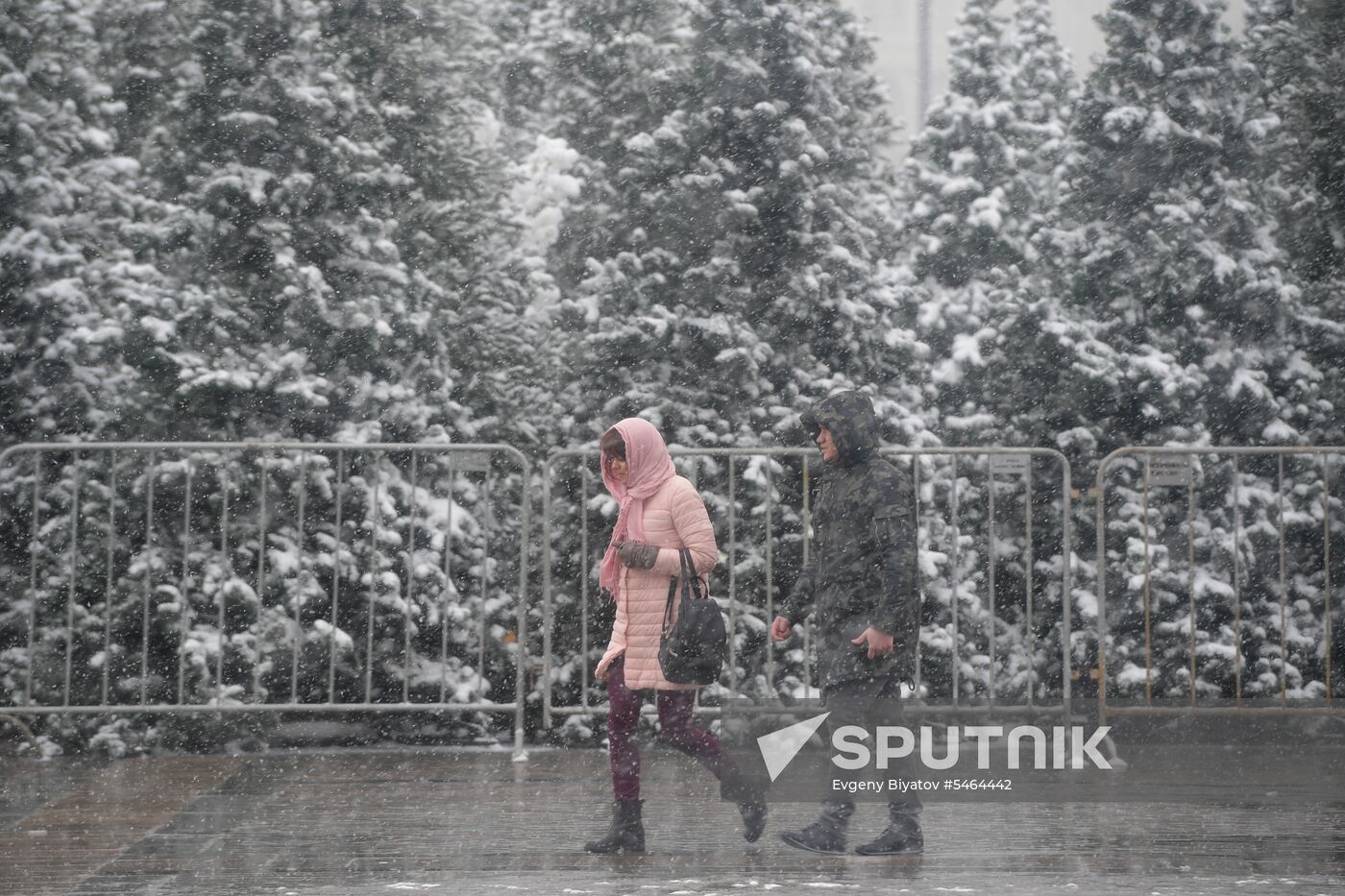 Snowfall in Moscow