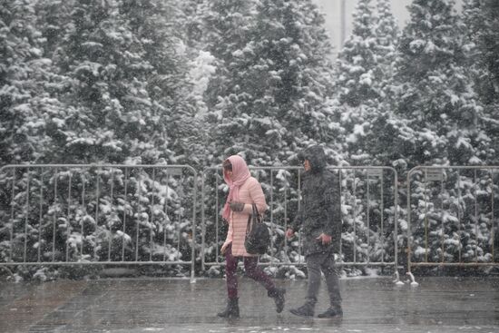Snowfall in Moscow