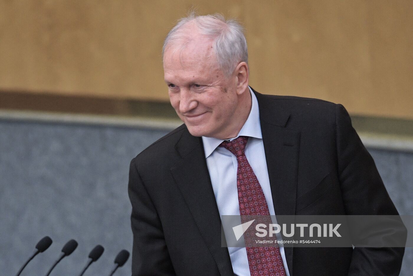 Russian State Duma plenary meeting