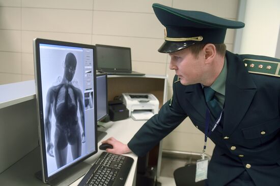 Customs control at Kazan Airport