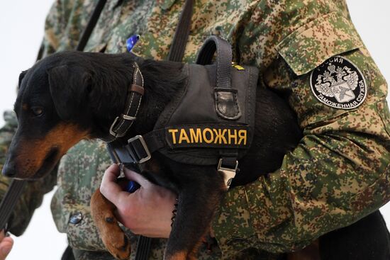 Customs control at Kazan Airport