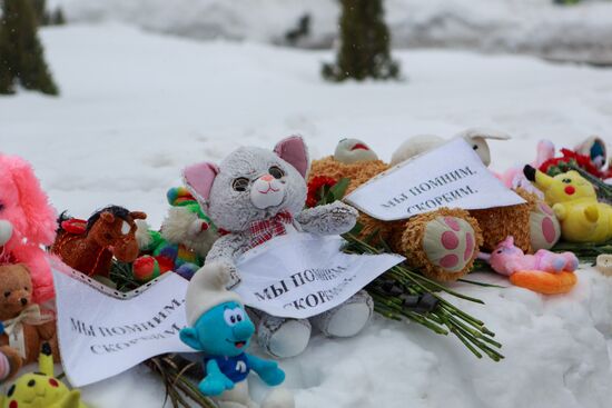 Events in memory of those killed in Zimnyaya Vishnya shopping mall fire