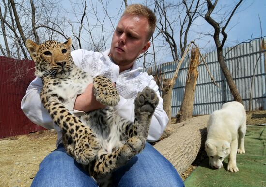 Shepherd dog adopts leopard cub at Sadgorod Zoo outside Vladivostok