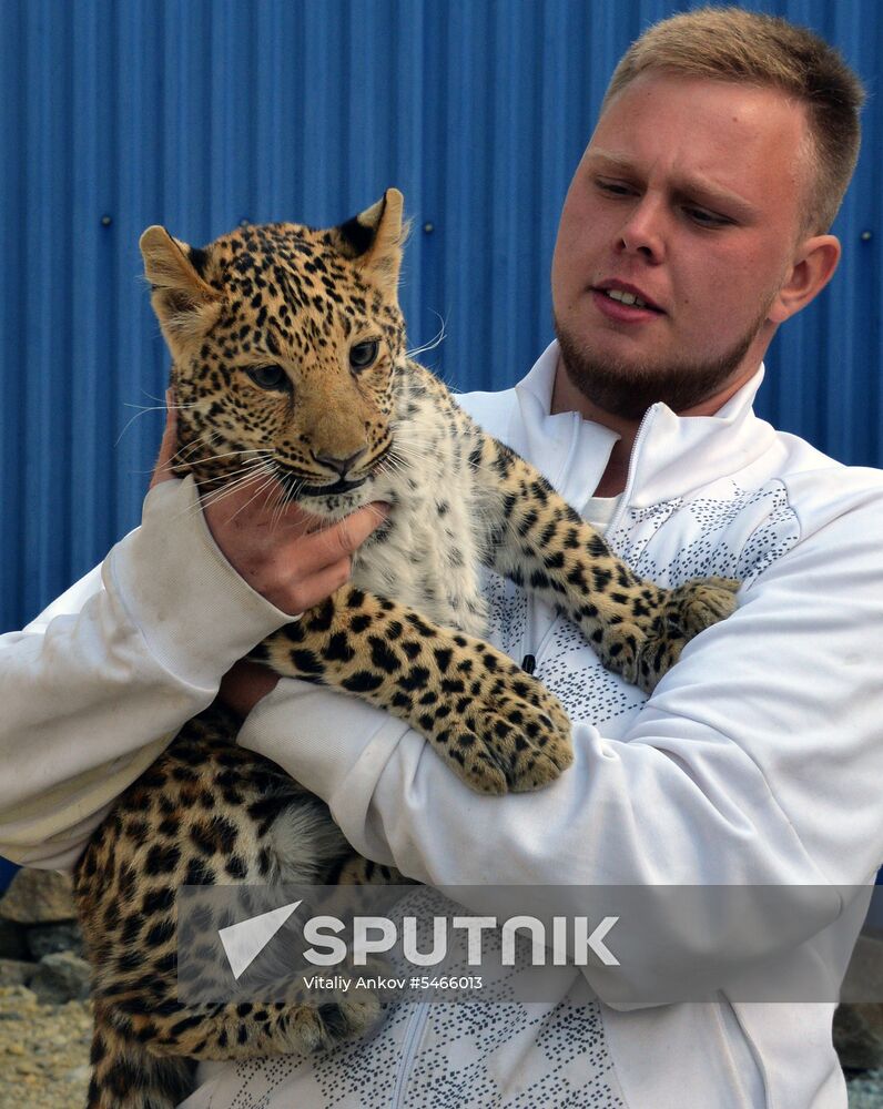 Shepherd dog adopts leopard cub at Sadgorod Zoo outside Vladivostok