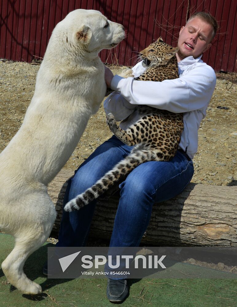 Shepherd dog adopts leopard cub at Sadgorod Zoo outside Vladivostok