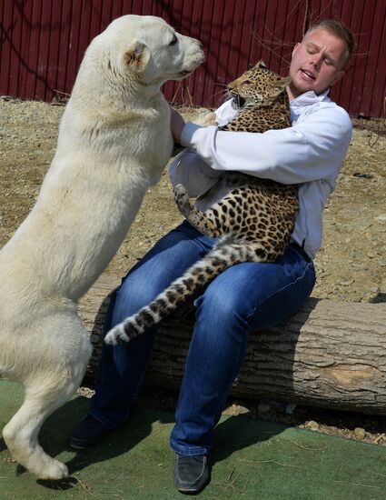 Shepherd dog adopts leopard cub at Sadgorod Zoo outside Vladivostok
