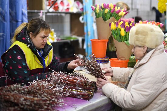 Willow sold in Russian cities