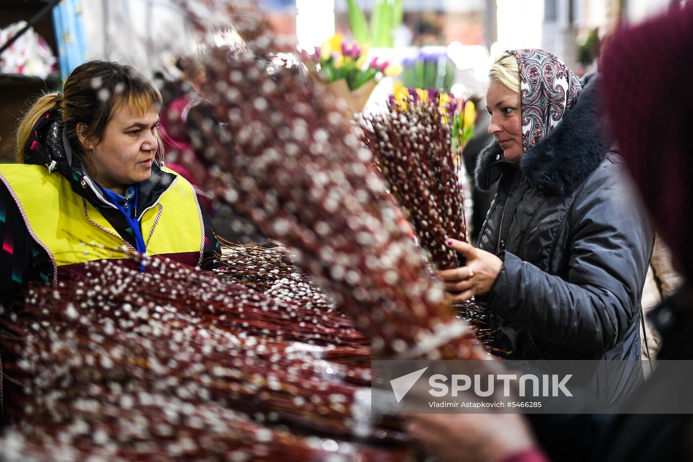 Willow sold in Russian cities