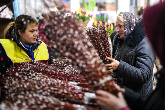 Willow sold in Russian cities