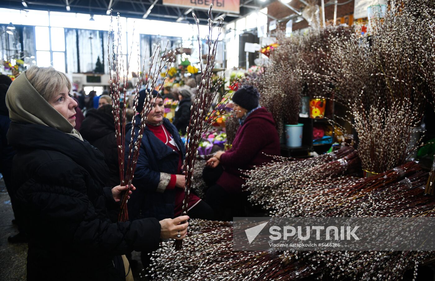 Willow sold in Russian cities