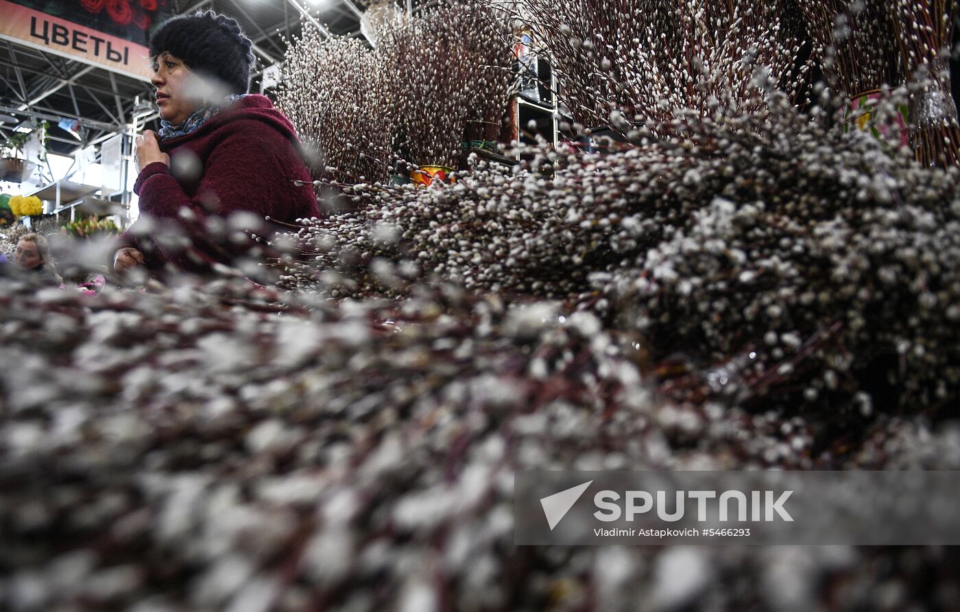 Willow sold in Russian cities