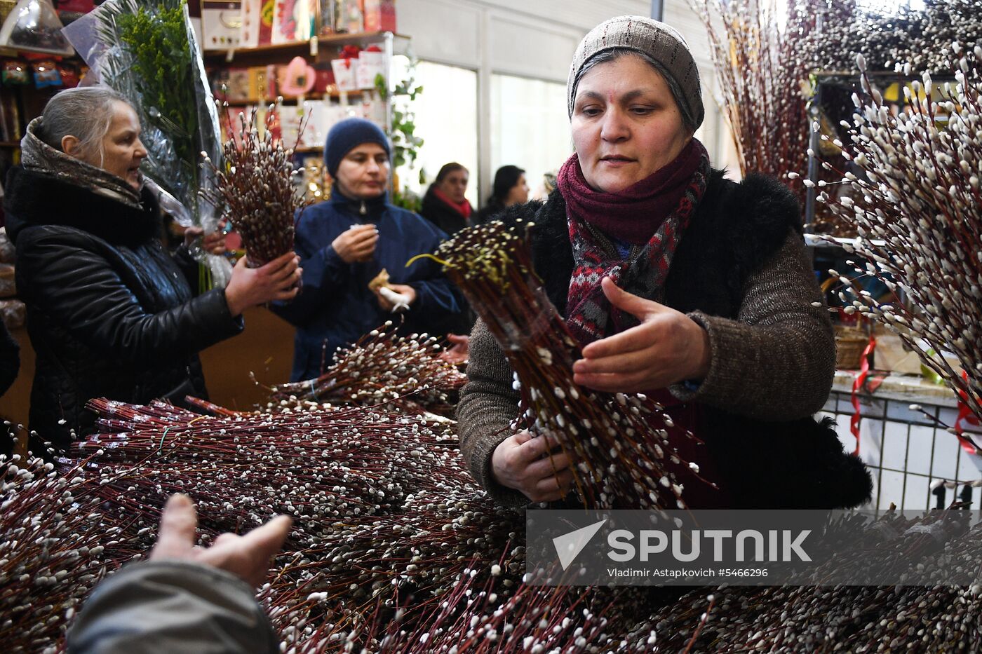 Willow sold in Russian cities