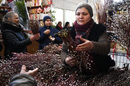 Willow sold in Russian cities