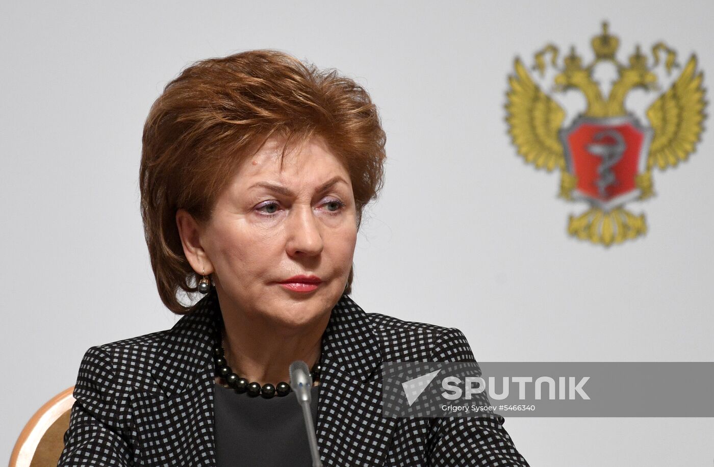 Russian Healthcare Ministry board meeting